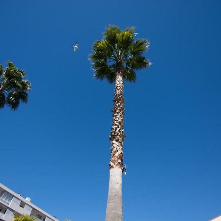 Le Parc Pointe Croisette Leilighet Cannes Eksteriør bilde