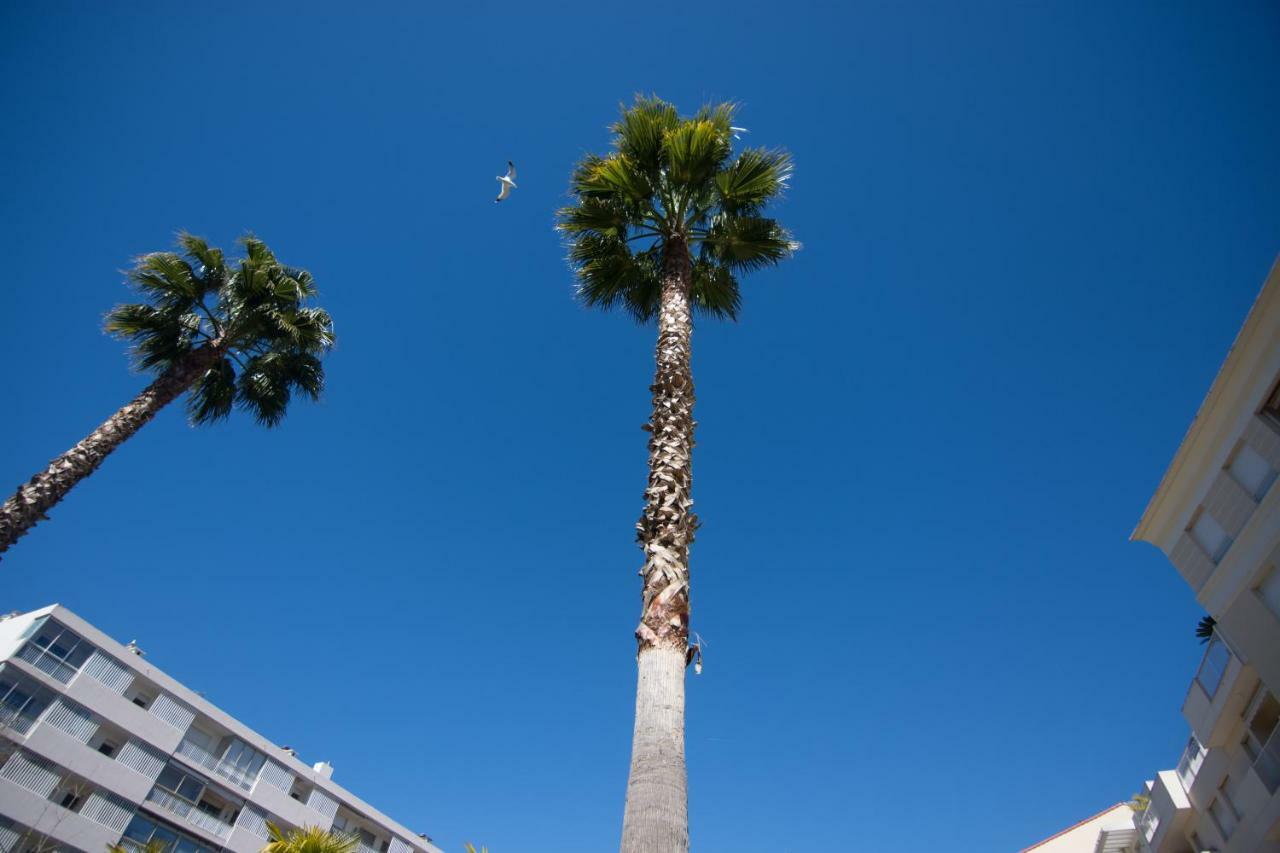 Le Parc Pointe Croisette Leilighet Cannes Eksteriør bilde